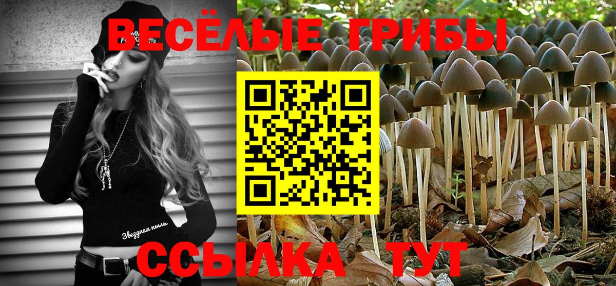 Галлюциногенные грибы мицелий  Вход с VPN  закладка  Ревда 