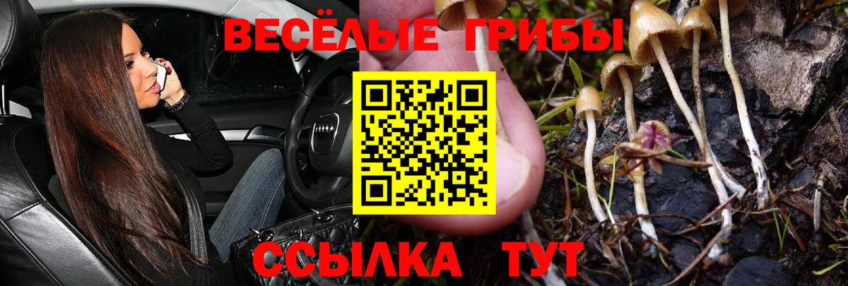 Псилоцибиновые грибы ЛСД Ревда
